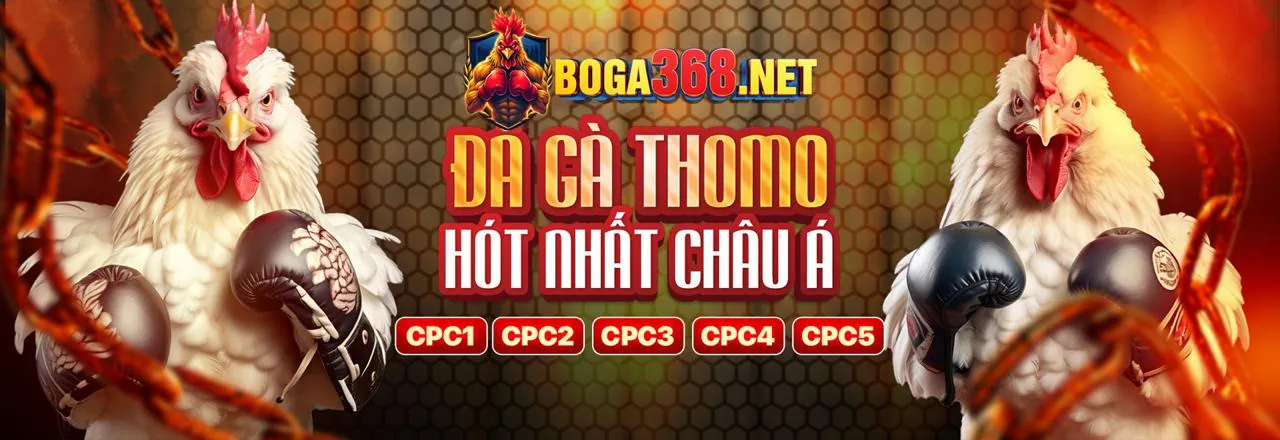 Đá Gà Trực Tuyến ranvip nhà cái