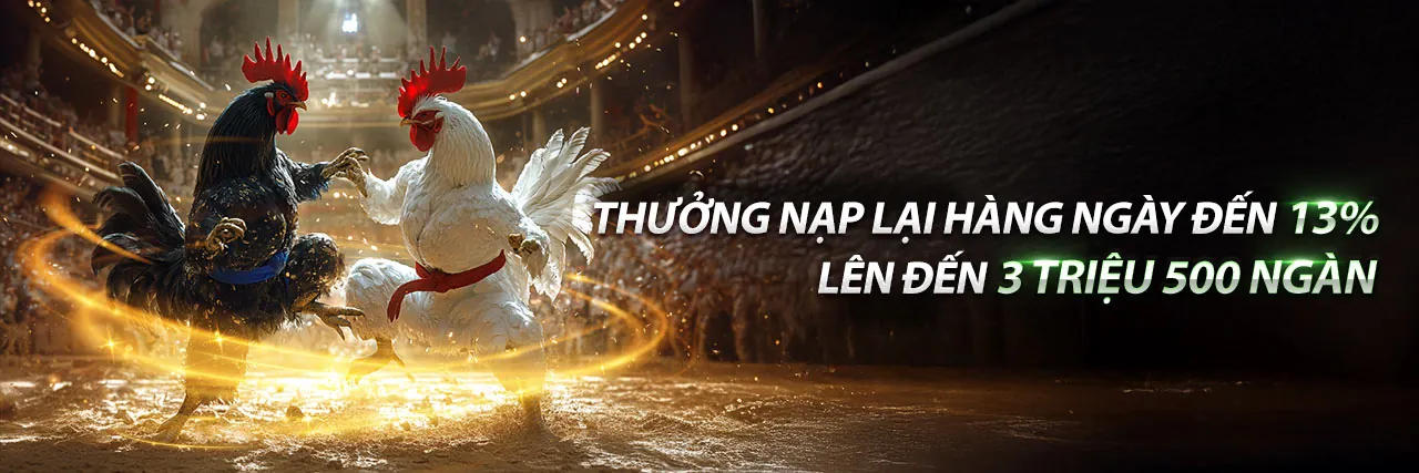 Hình ảnh chính Kế hoạch VIP ranvip nhà cái